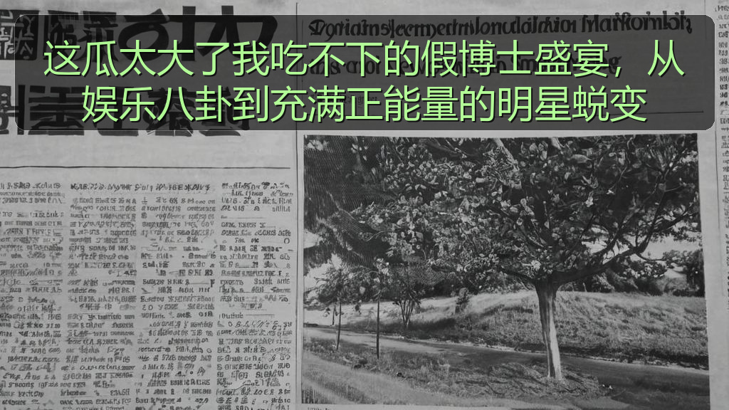 这瓜太大了我吃不下的假博士盛宴，从娱乐八卦到充满正能量的明星蜕变